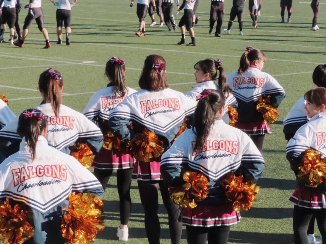 チアリーディング(ウィンドブレーカー上下) チアリーディング(ウィンドブレーカー上下) チアリーディング チア